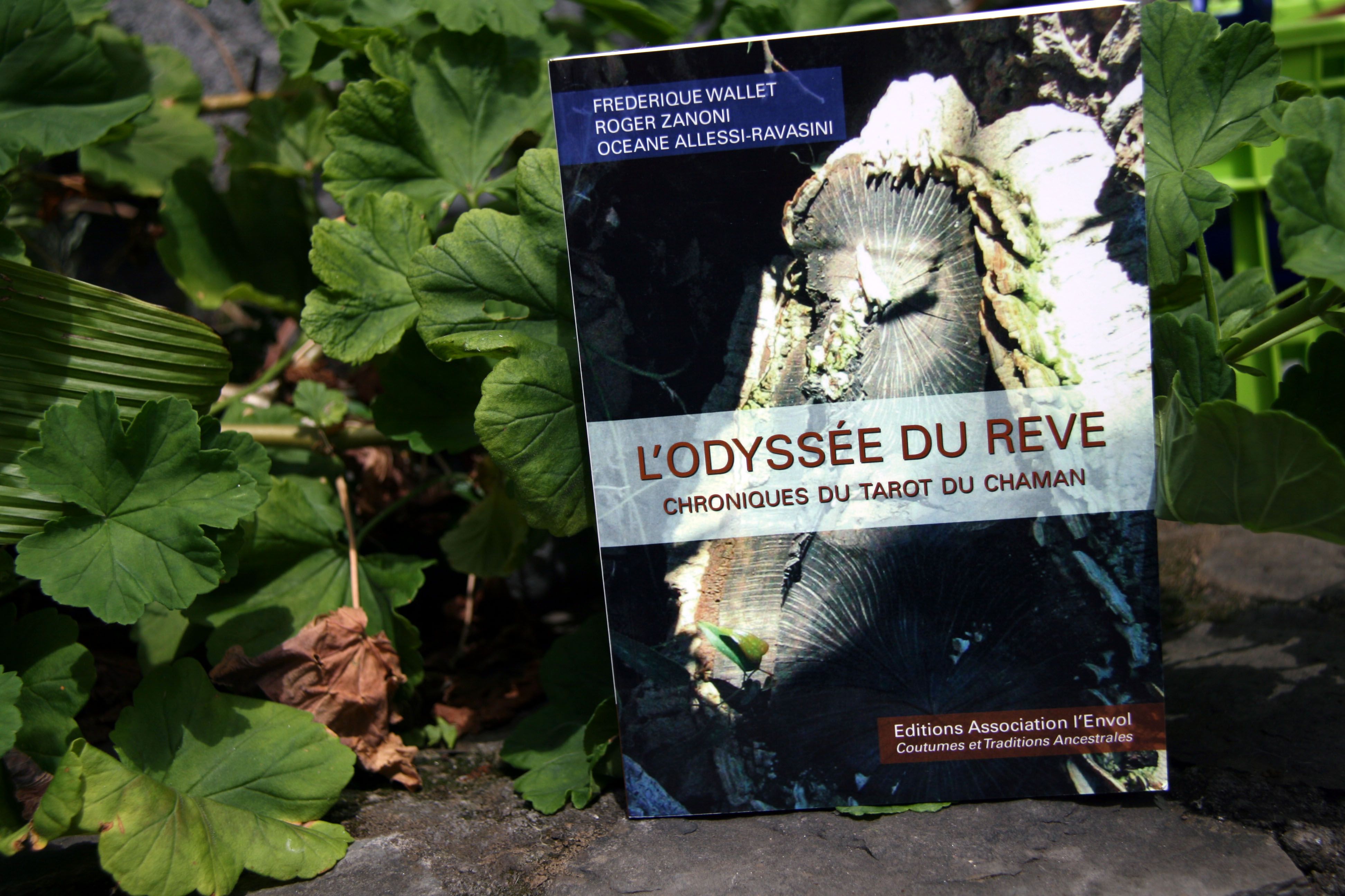 Traditions ancestrales - Produit - L'Odyssée du rêve