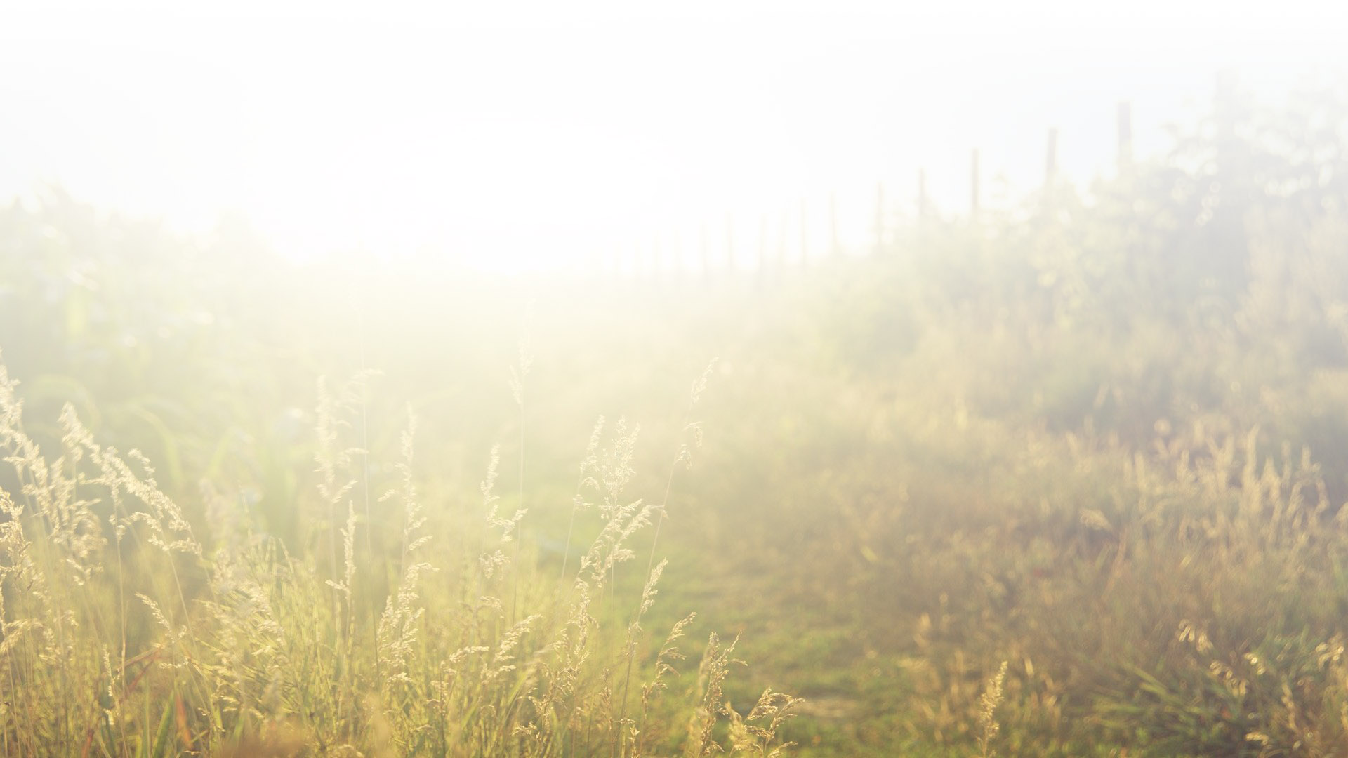 Traditions ancestrales - Témoignages